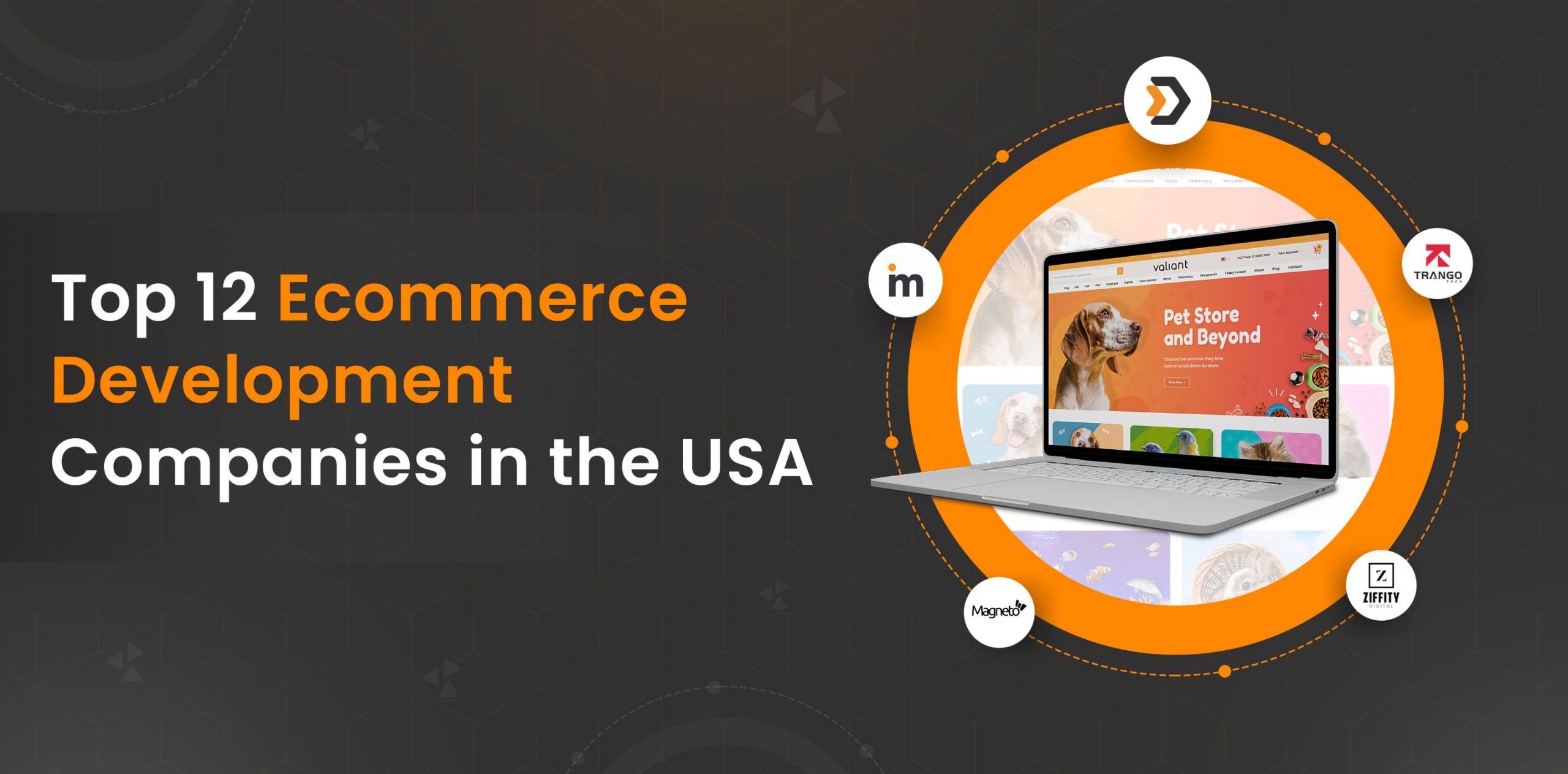Top 12 Ecommerce Development Companies in the USA
