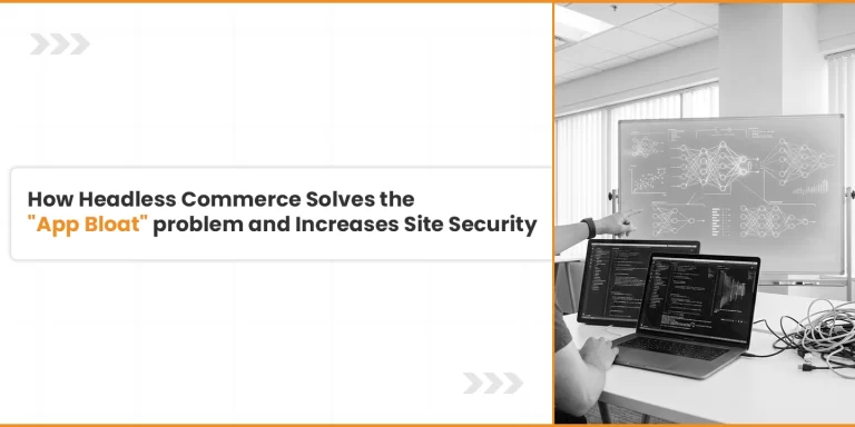 Headless commerce development service in USA